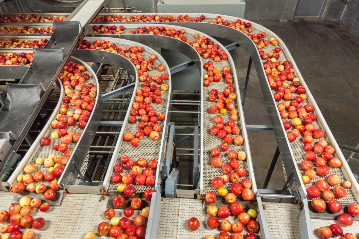food-processing_264043922